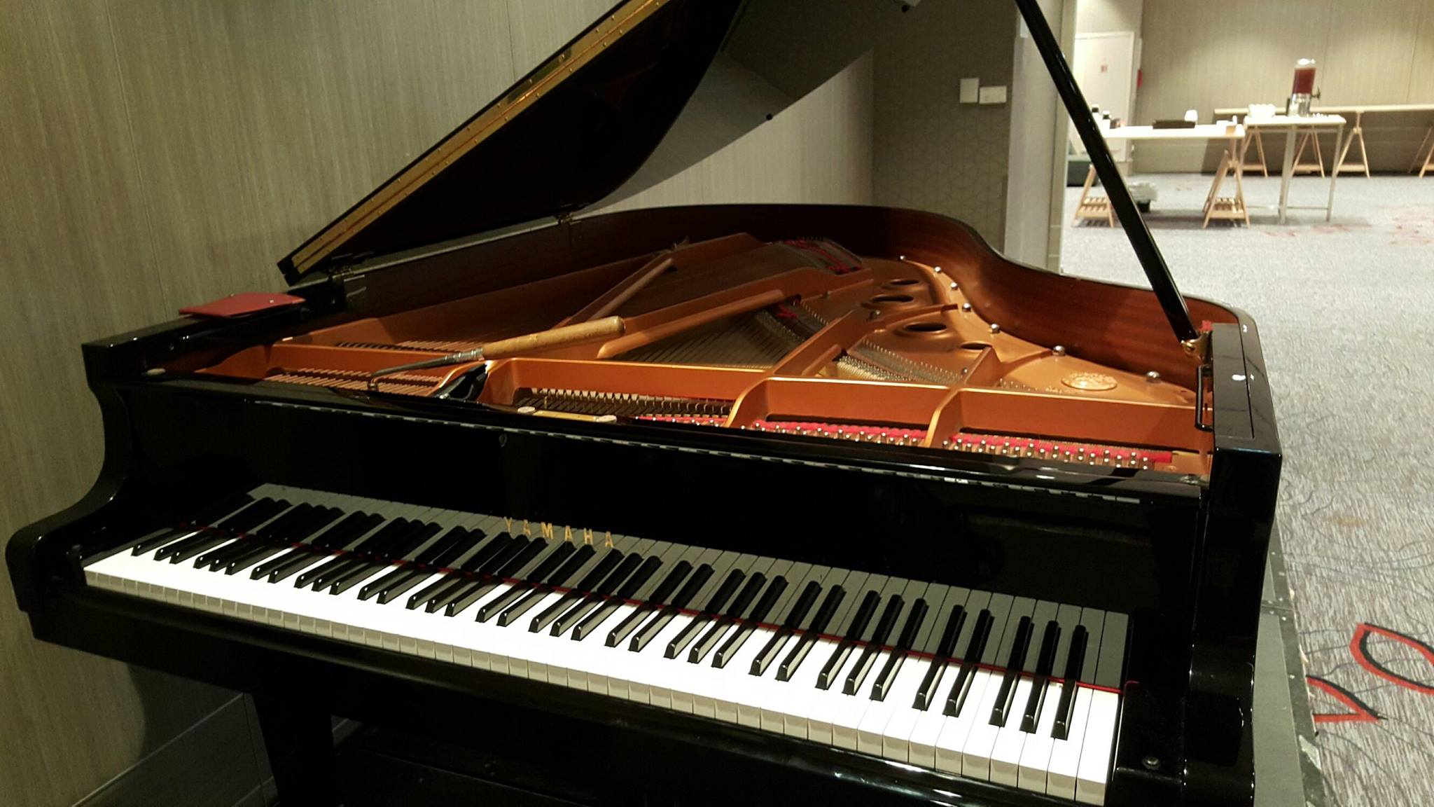 Choisy Pianos